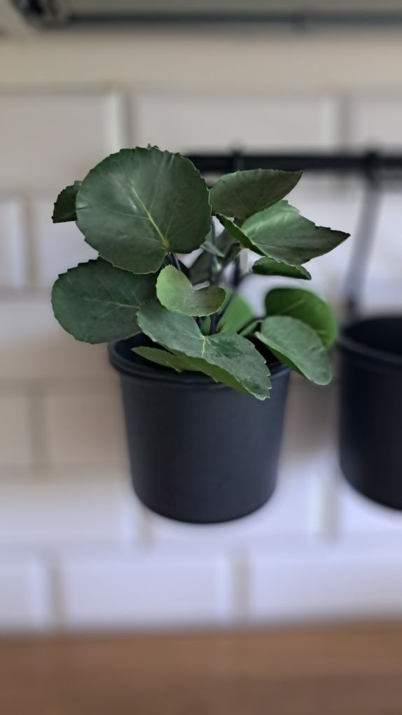 Ikea suszarka na naczynia, pojemnik do ziół, haczyki i drażki
