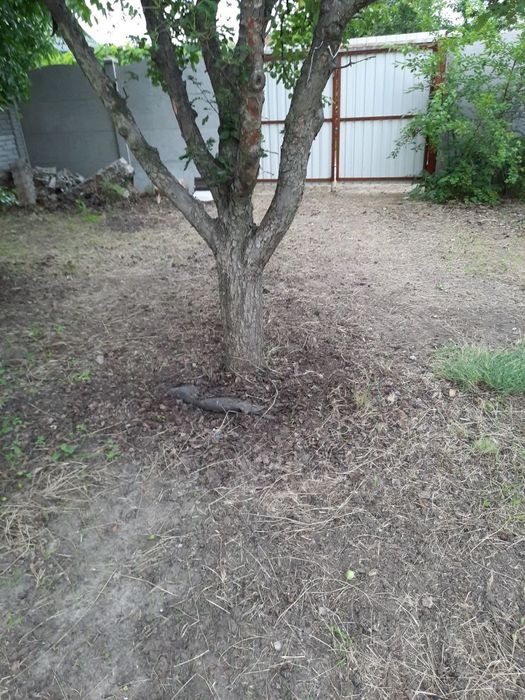 Продам дачну ділянку. Солов'їний Гай-2