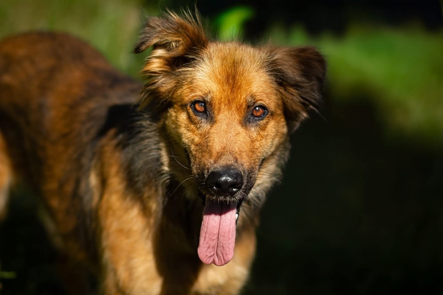 Cała rodzina adoptowana, Ula wciąż czeka...