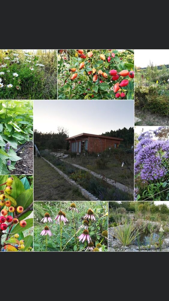 Limpeza de terrenos,jardins,condomínios corte de lenha para lareira ..