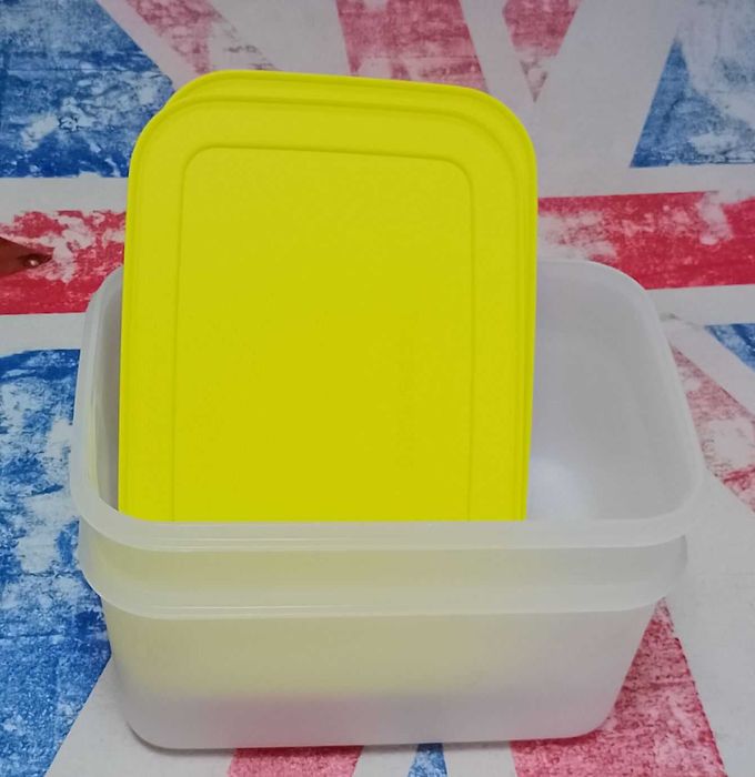 Caixas Tupperware de congelação (2,5 lt)