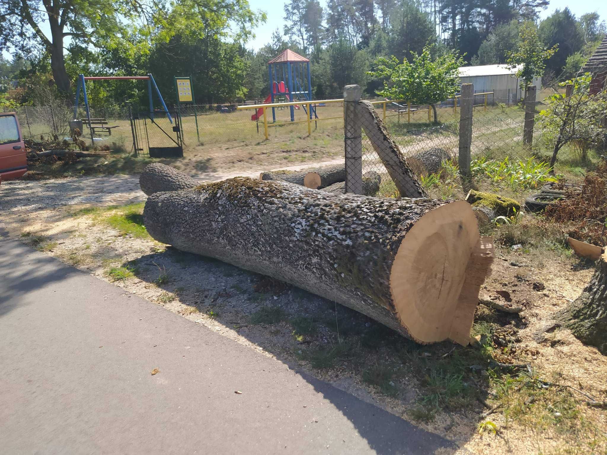 Wycinki drzew wycinki przy liniach kolejowych. , burzenie budynkow