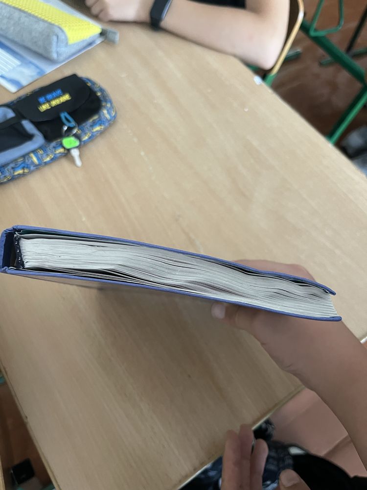 Книжка укр.літ 6 клас олеся калинич