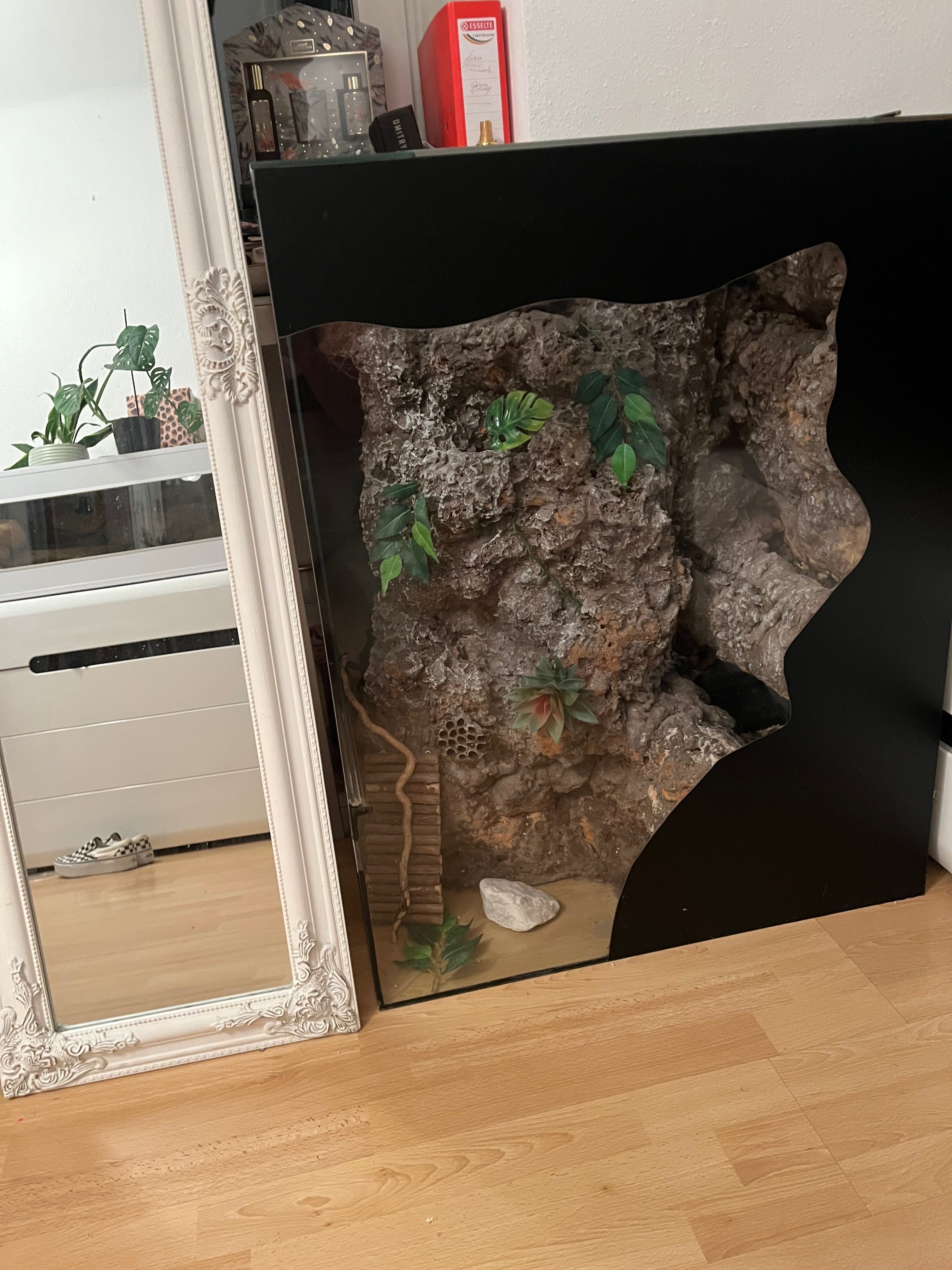 Terrarium wertykalne 90x70x30 gekon orzęsiony ze ścianką wystrojem