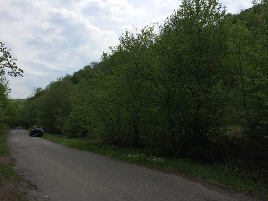 с.Новоселиця. Зем. ділянка комерційного призначення. Від Власника!!!