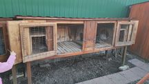 Клітка для кролів