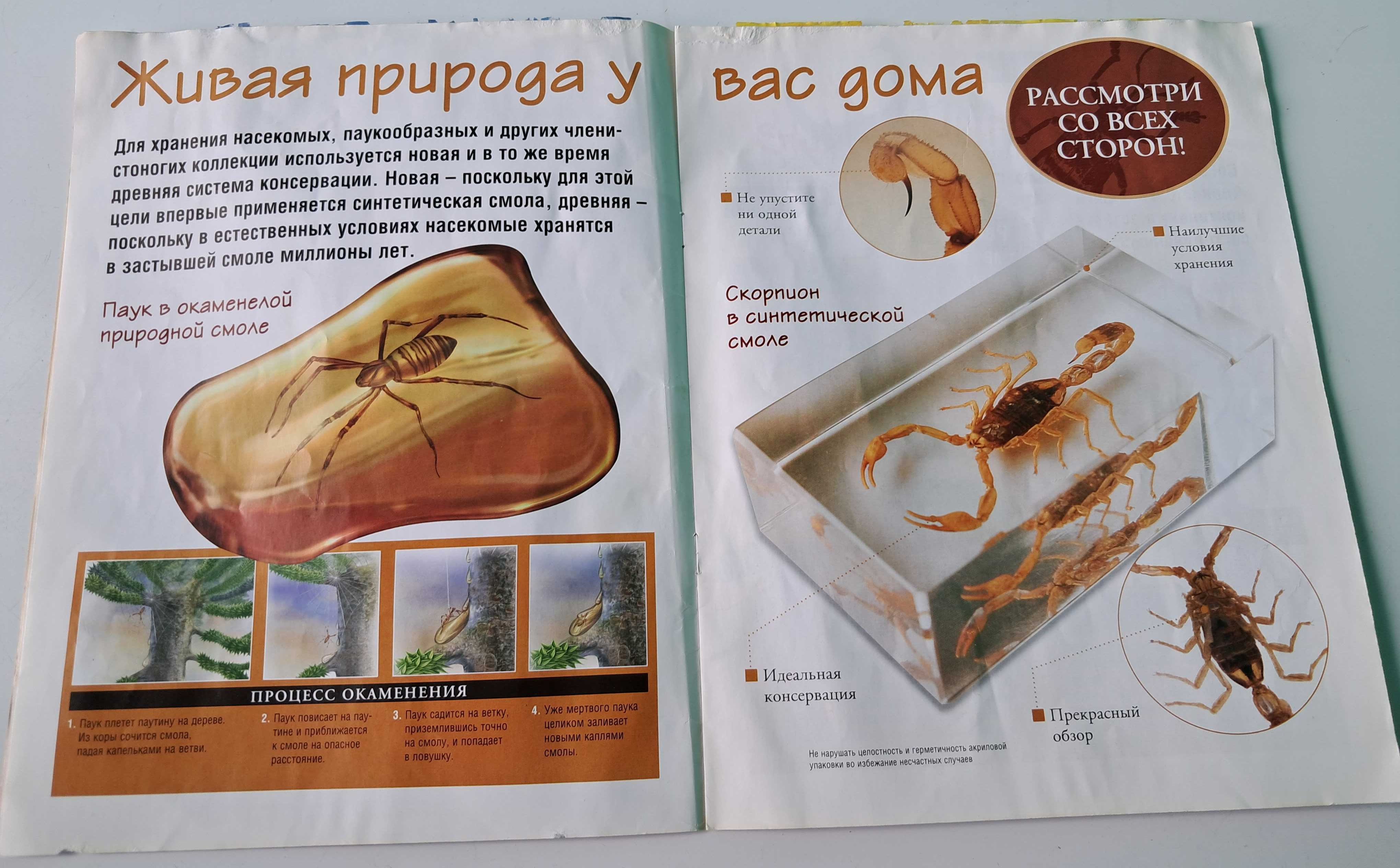 Журнал "Насекомые и их знакомые" Deagostini описание коллекции
