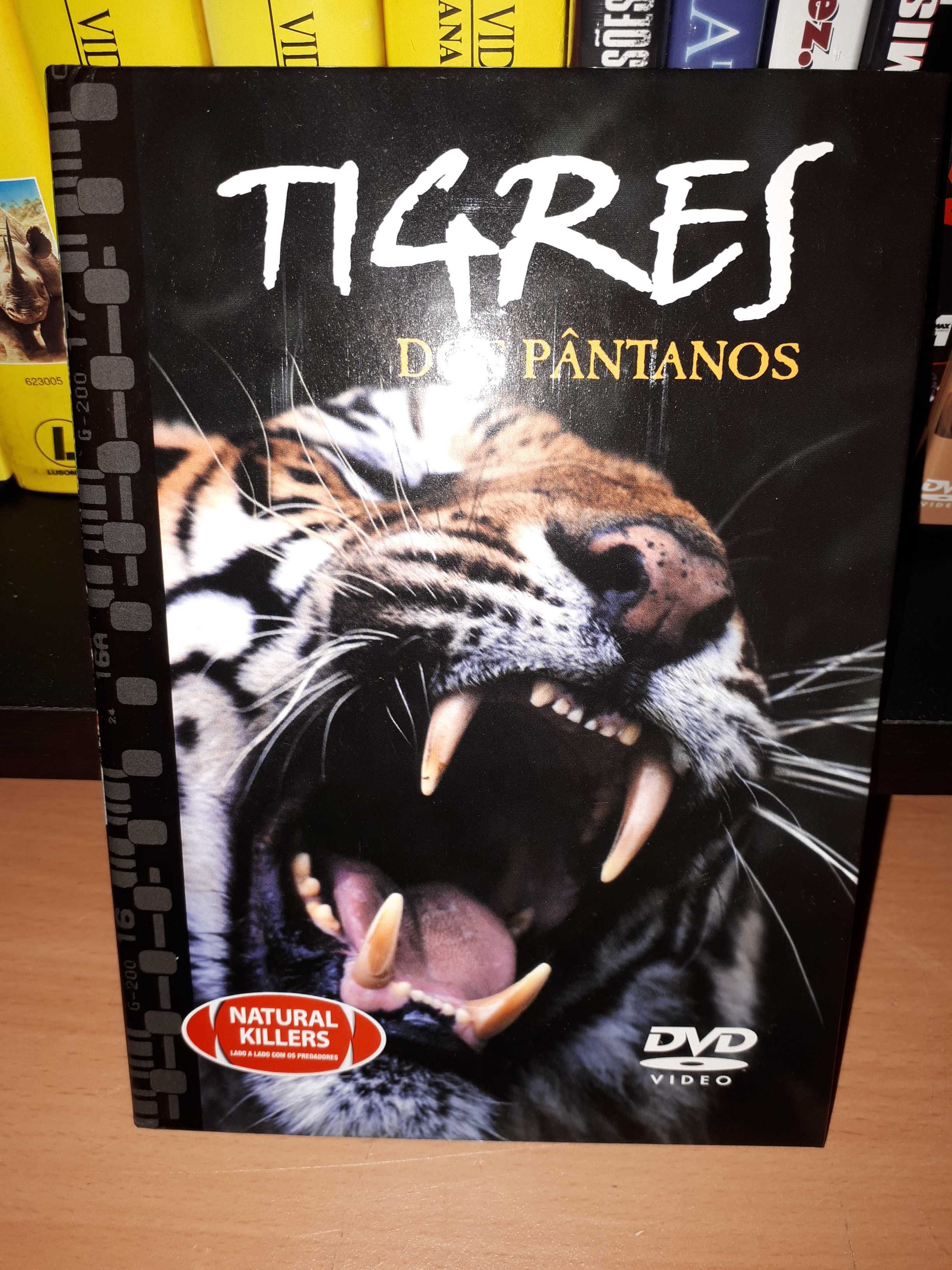 DVD Tigres dos Pântanos