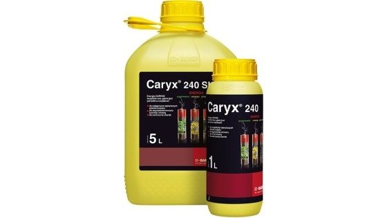 Caryx 240SL 1l - 5l