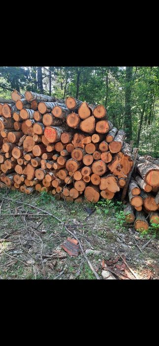 Drewno opałowe Kominkowe metry wałki do pieca