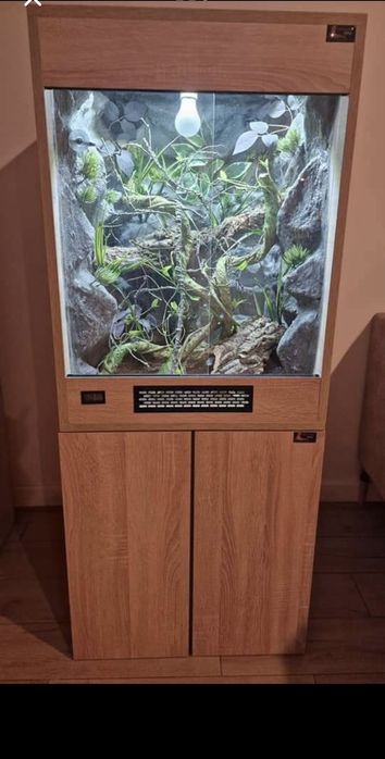 Terrarium tropikalne stan nowy