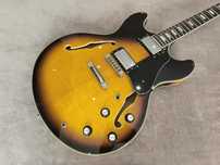 Guitarra Elétrica Larry Carlton H7