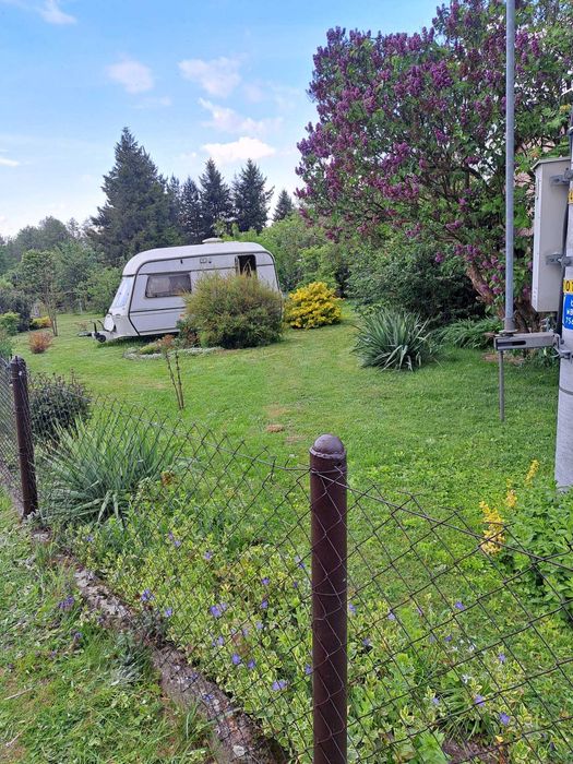 Ogródek działkowy z widokiem na Góry Złote – Złoty Stok - 750m2