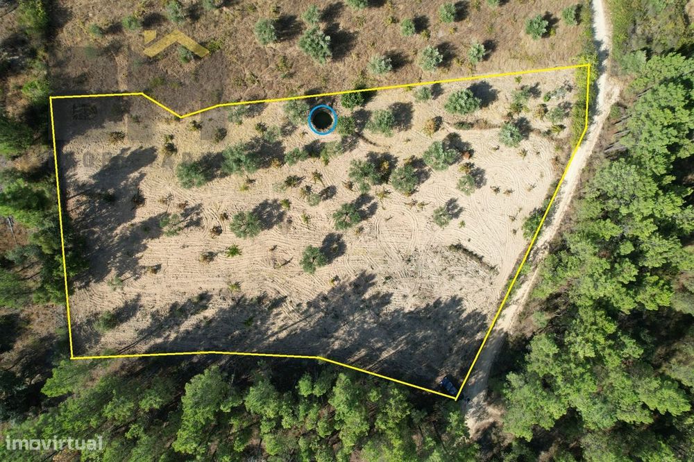 Terreno Rústico  Venda em Salgueiro do Campo,Castelo Branco