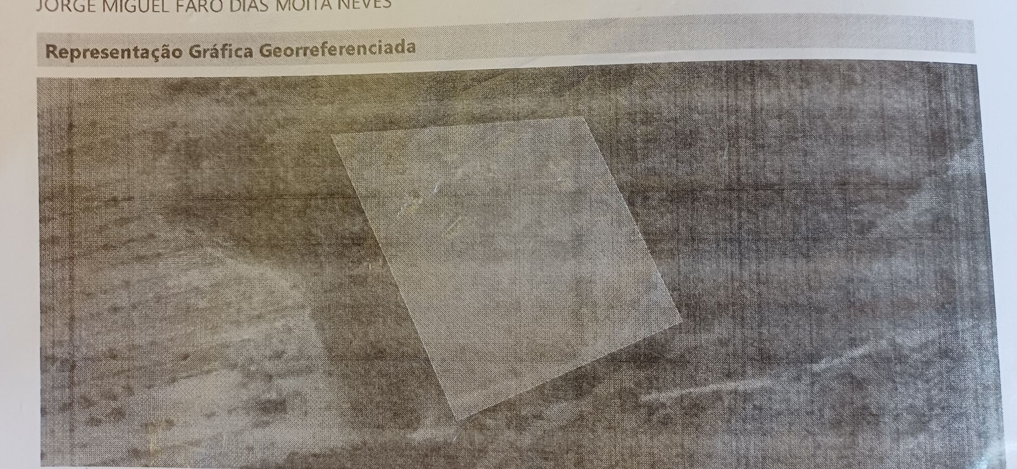 Pinhal sito à Portela, com bons acessos.