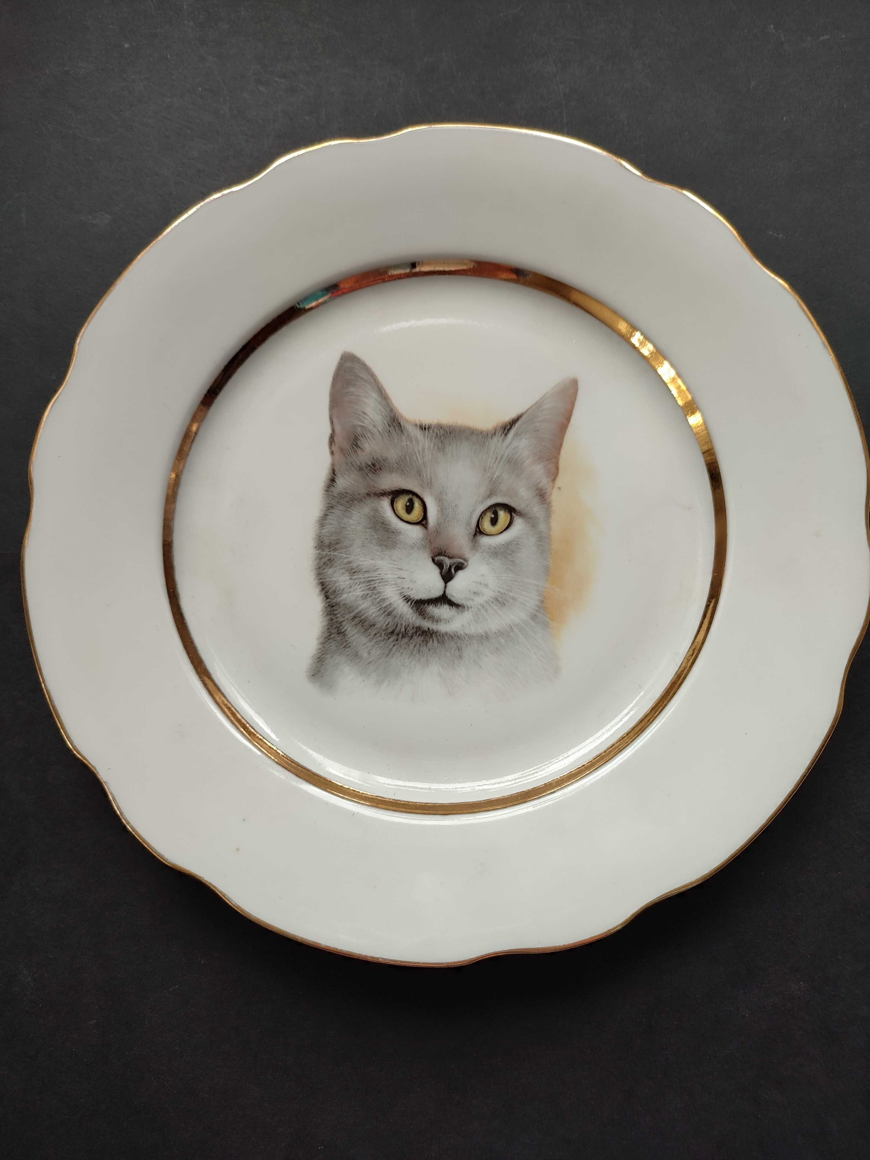 Вінтаж, порцелянова тарілка A.G.L.Gibtware Lord Nelson, сірий кіт