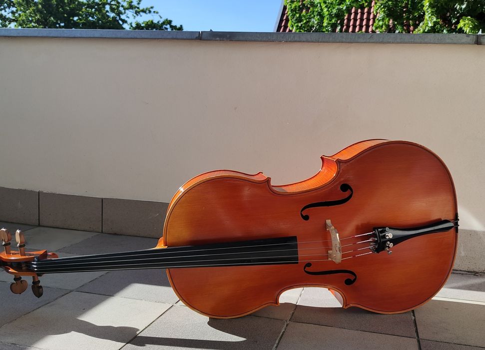 Wiolonczela lutnicza Grzybacz