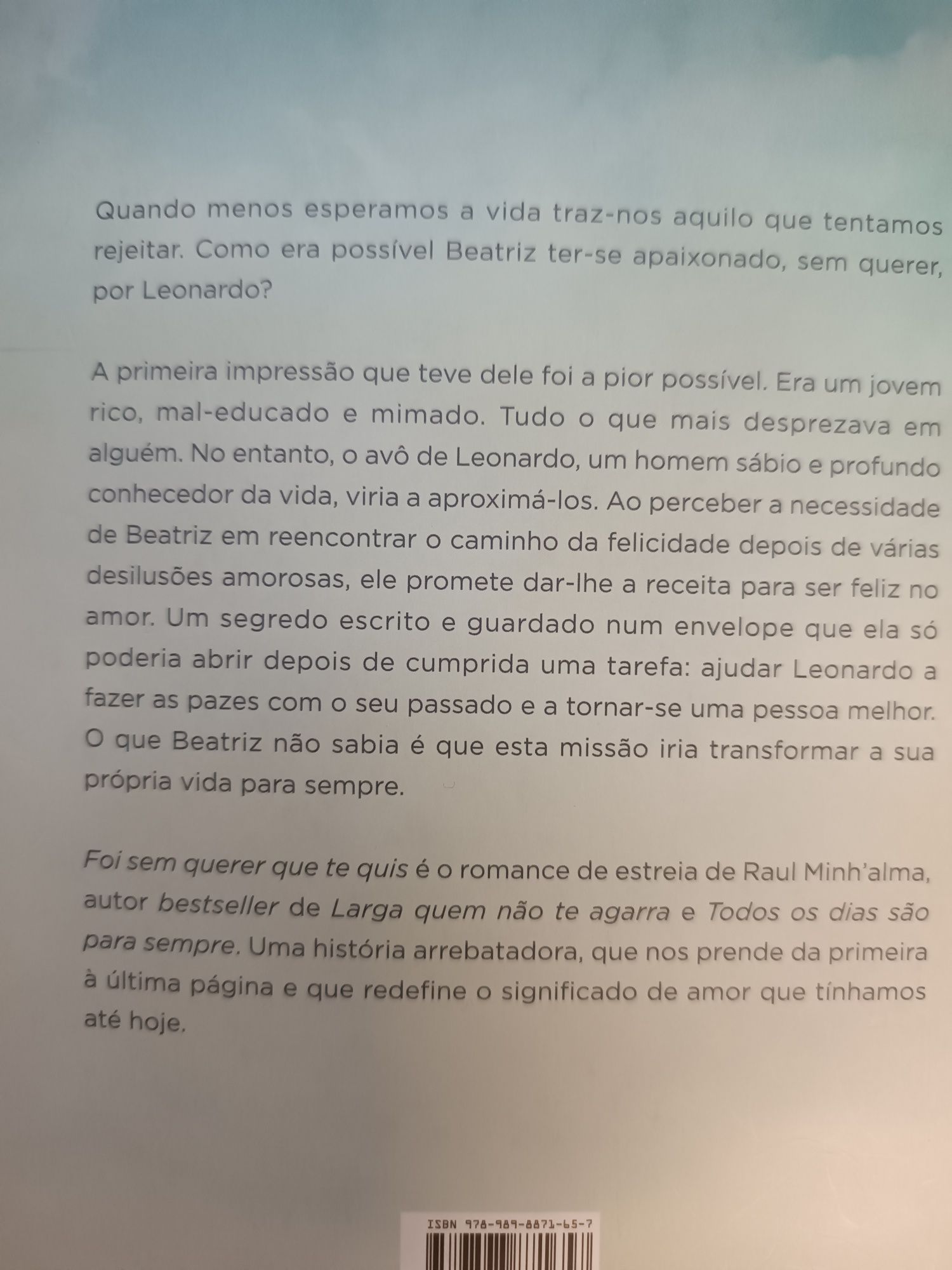 Foi sem querer que te quis - Raul Minh'alma