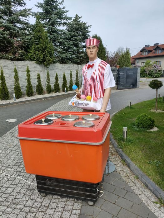 Konserwator do lodów plus kuwety