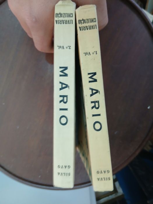 Silva Gayo, Mario (2 vols)