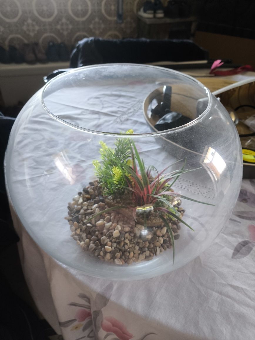 Aquario peixes 30cm