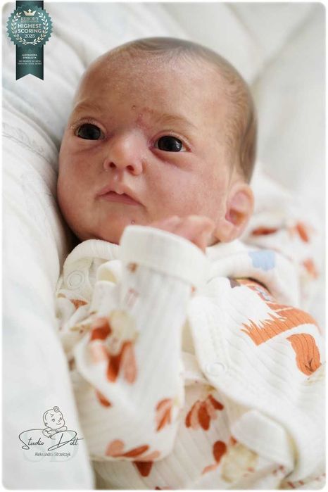 Studio Doll reborn doll - Ana Gudrun Legler prawdziwy reborn 3D skóra