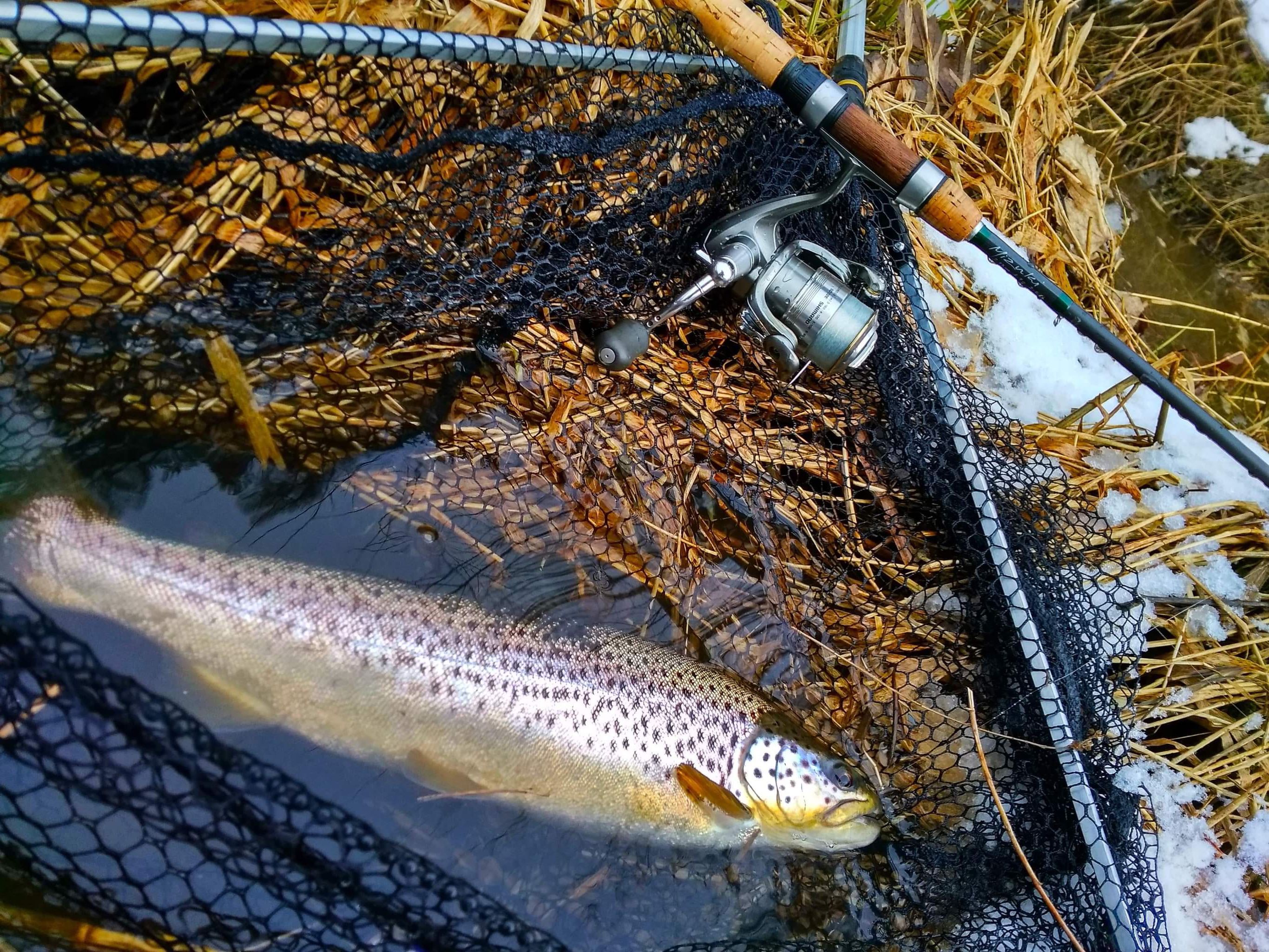 7. Jigi pstrągowe / Streamery na muchę / Pijawki /  1 - 1,8 - 2,4 g.