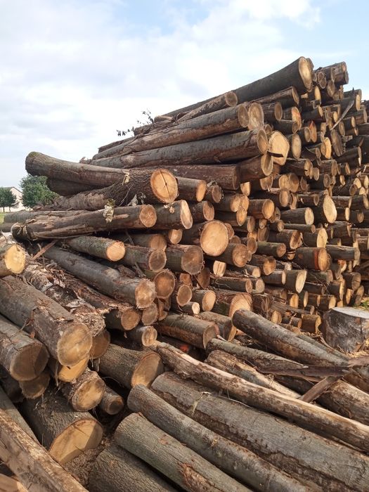 Drewno Kominkowe/ Opałowe
