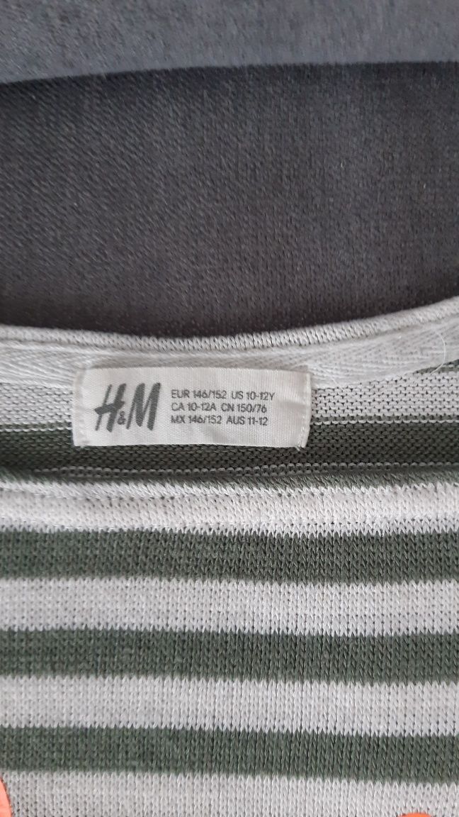 Sweter biały,2× bluzeczki H&M i Coccodrillo +gratis sukienka 146/152