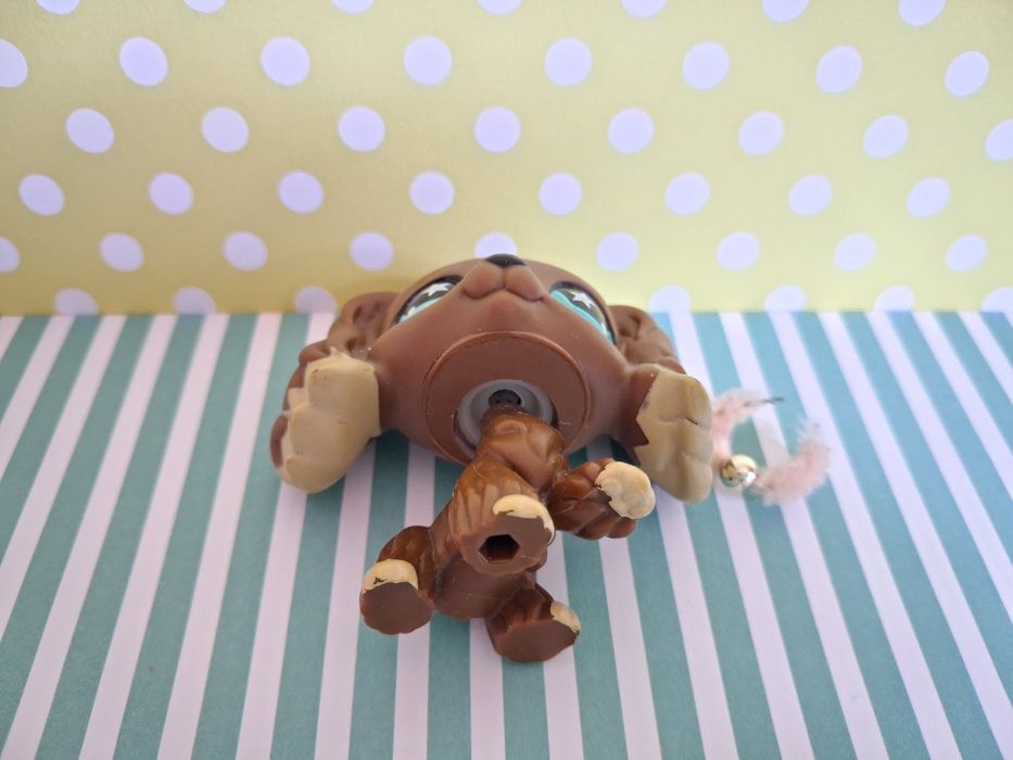 Littlest Pet Shop LPS unikatowy pies Cocker Spaniel #960 pop