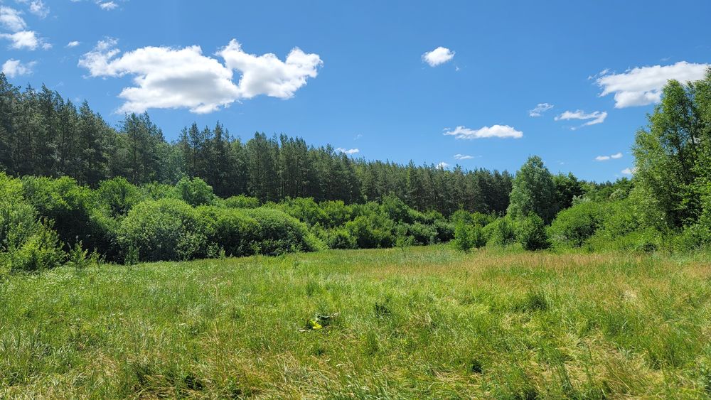 Шукаю Житло  в селі