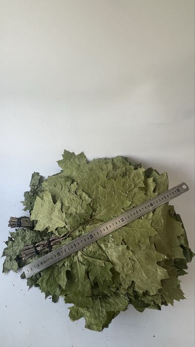 Witki do Sauny, Witkowanie w Saunie, Wenik Bania,