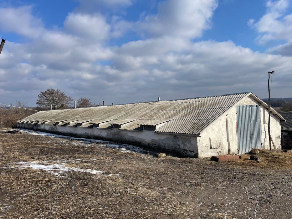 Продам територію ферми з приміщенням для вирощування птиці