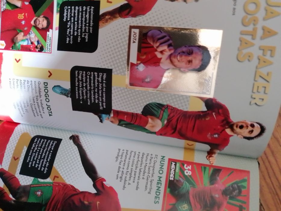 Cardeneta Fome de vencer + de 90%completa-8E.- Fio verde 2E.Desde 1E.