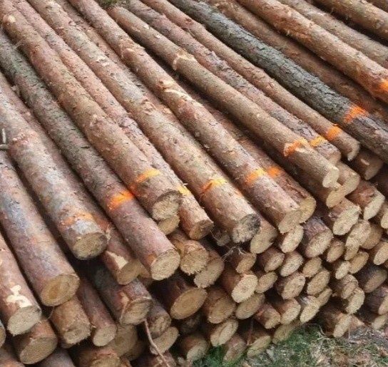 Stemple budowlane gratis dowóz transport 2.5m 3m sosnowe budowa strop