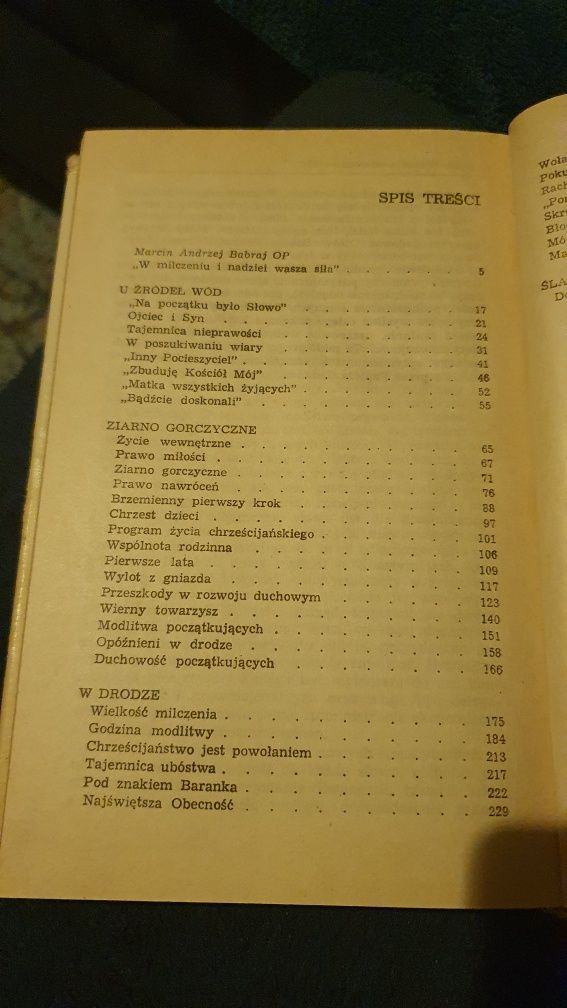 W milczeniu i nadziei Skrupulatom na ratunek Emanuel Działa OP