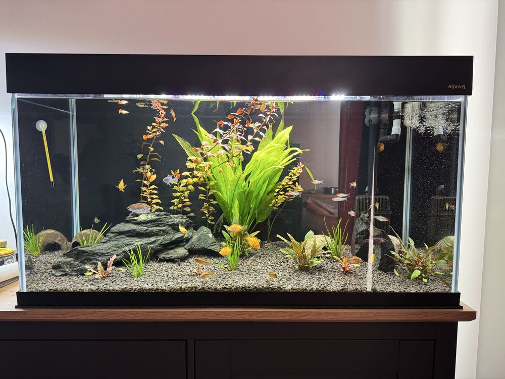 Akwarium opti white aquael 200 l