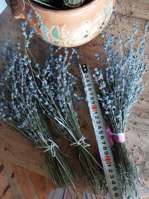 Лаванда букет сушена