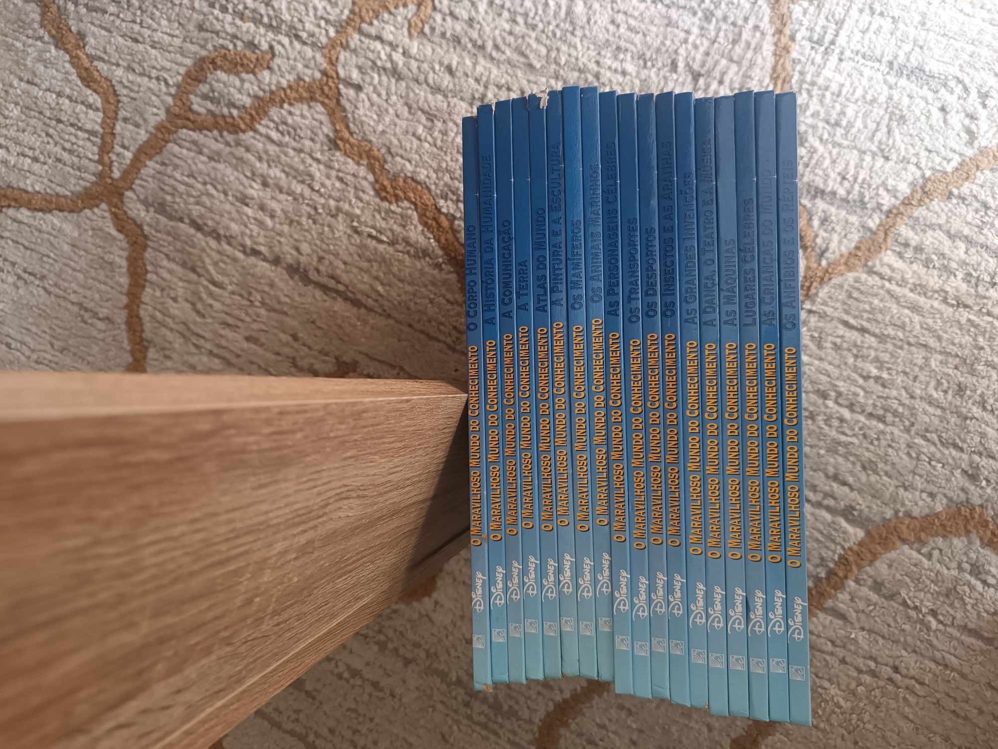 Coleção de livros "o maravilhoso mundo do conhecimento" Disney