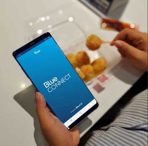 Piscina Analisador de Água- Blue Connect - App Free