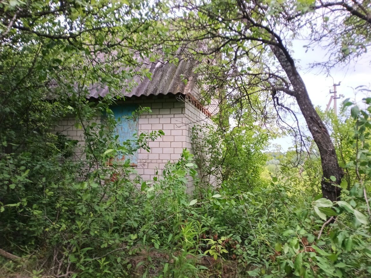 Продається дача Місто Суми,село Любачеве