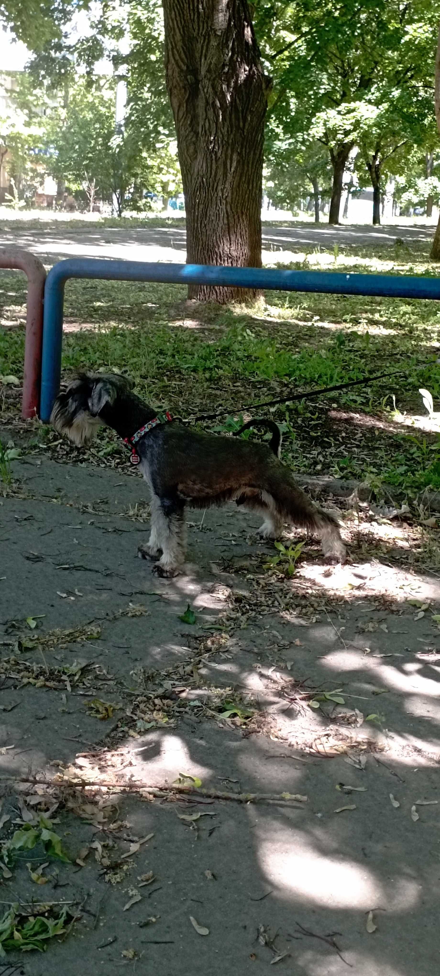 Підрощений хлопець