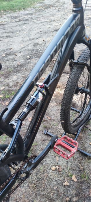 Dartmoor Shine czarny