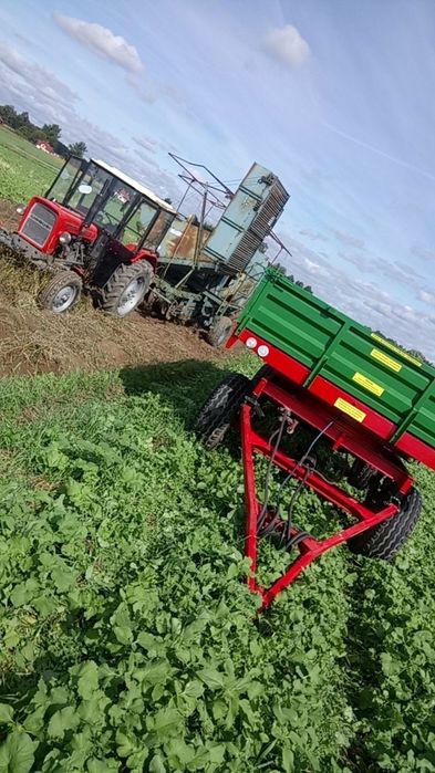 Kopalnie ziemniaków i ziemniaki