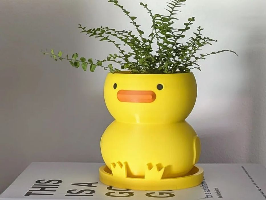 Кашпо для домашніх рослин