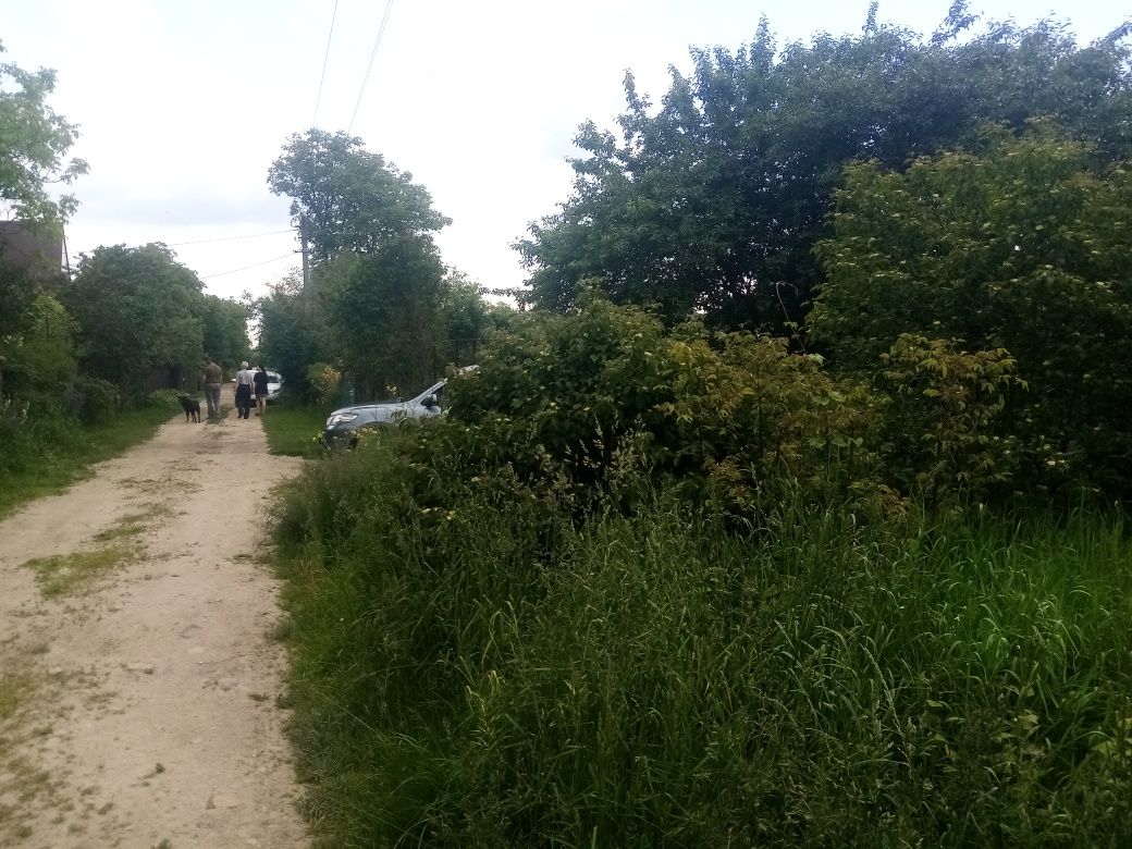 Продається дача в селі Клузів