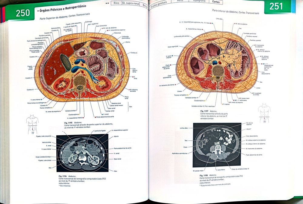 Sobotta - Atlas de Anatomia Humana Vol. 1 e 2