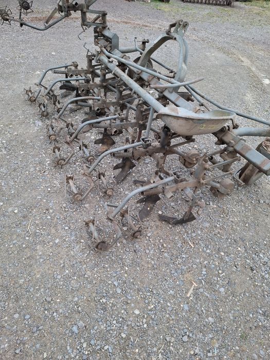 Wielorak planetka pielnik