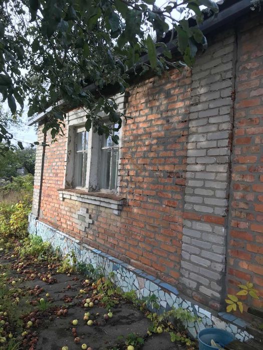 Продам дом с удобствами в Покотиловке в хорошем месте! (169154)