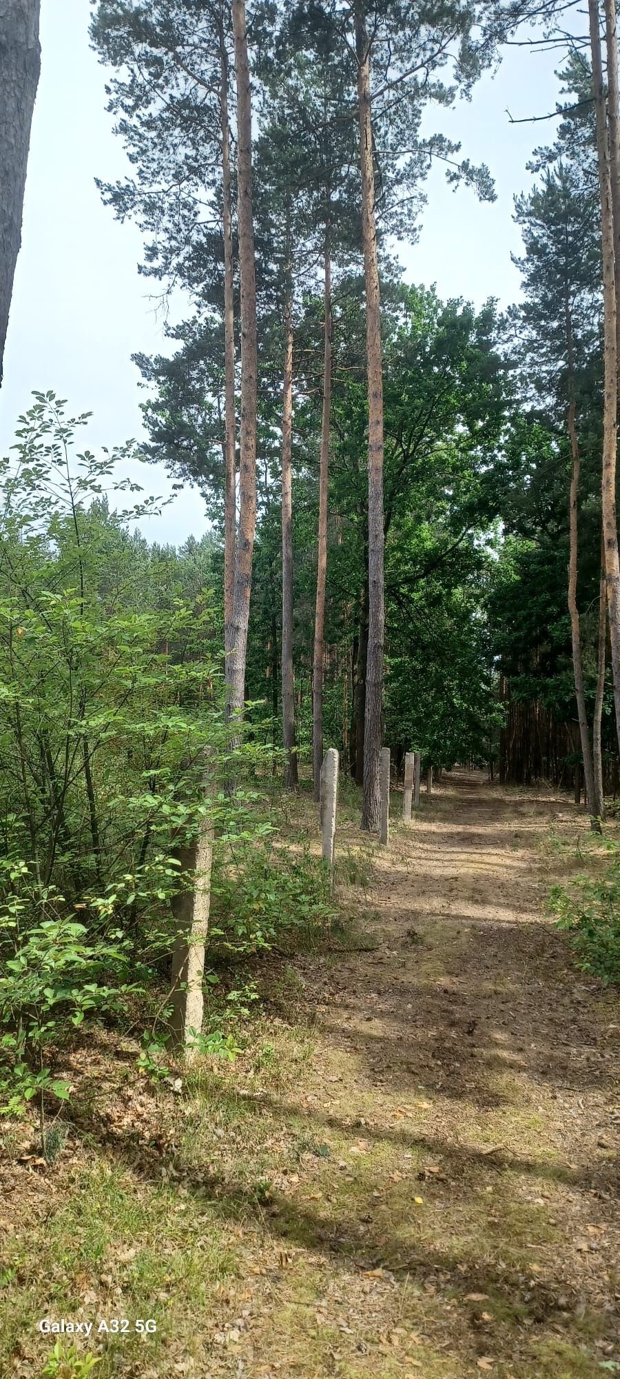 Działka rekreacyjna las 110a